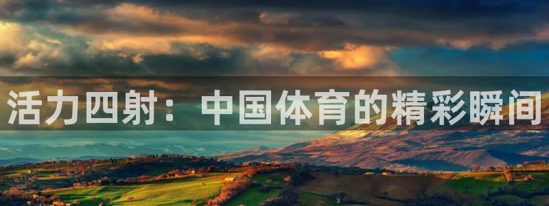 尊龙官方平台体育：活力四射：中国体育的精彩瞬间