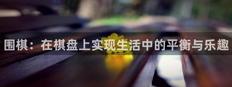 尊龙官方正版app娱乐40996：围棋：在棋盘上实现