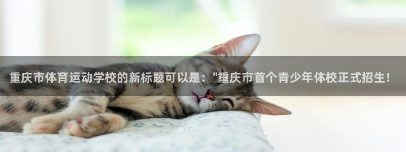 尊龙官方正版app科技：重庆市体育运动学校的新标题可