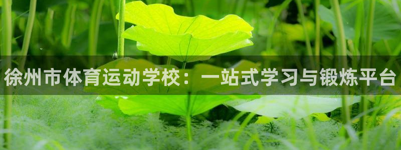 尊龙官网下载平台是正规平台吗：徐州市体育运动学校：一