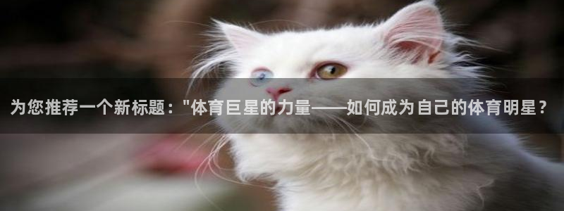 尊龙官网下载招商：为您推荐一个新标题：\