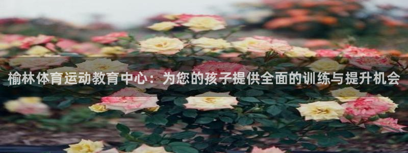 尊龙官网下载平台注册要钱吗是真的吗：榆林体育运动教育中心：为