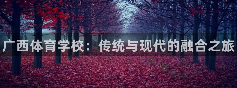 尊龙官方正版app娱乐是那个系列的台子：广西体育学校：传统与