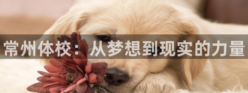 尊龙官网下载软件