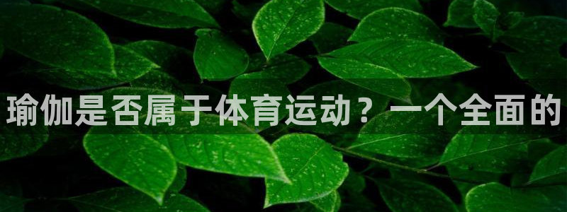 尊龙官方正版app集团E.ON：瑜伽是否属于体育运动？一个全