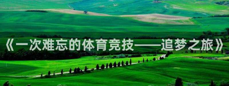 尊龙官网下载平台注册流程图：《一次难忘的体育竞技——追梦之旅