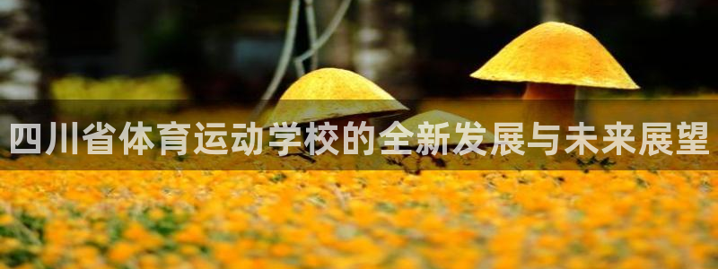 尊龙官方平台体育：四川省体育运动学校的全新发展与未来