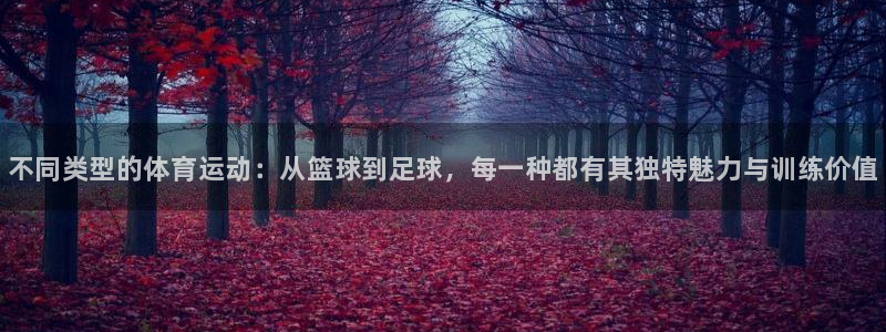 尊龙官方正版app集团
