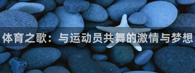 尊龙官网下载平台是正规平台吗知乎：体育之歌：与运动员共舞的激