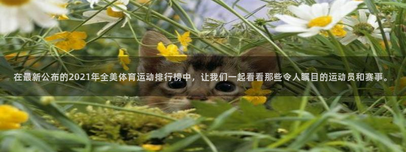 海南尊龙官网下载发展怎么样：在最新公布的2021年全美体育运