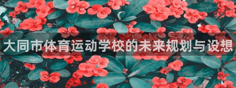 尊龙官网下载招商电话是多少号码：大同市体育运动学校的未来规划