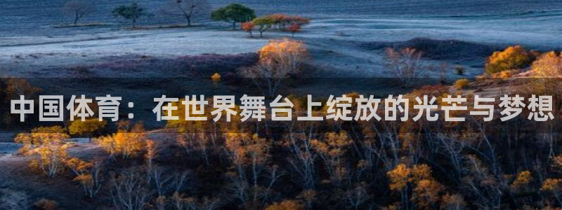 尊龙官网下载招商电话地址：中国体育：在世界舞台上绽放