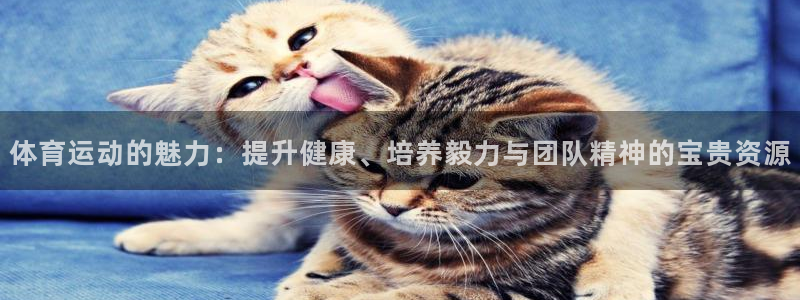 尊龙官方正版app集团logo：体育运动的魅力：提升