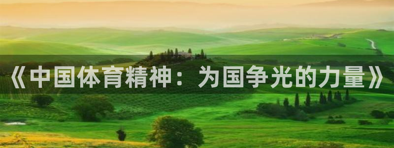 尊龙官网下载平台是正规平台吗知乎：《中国体育精神：为国争光的