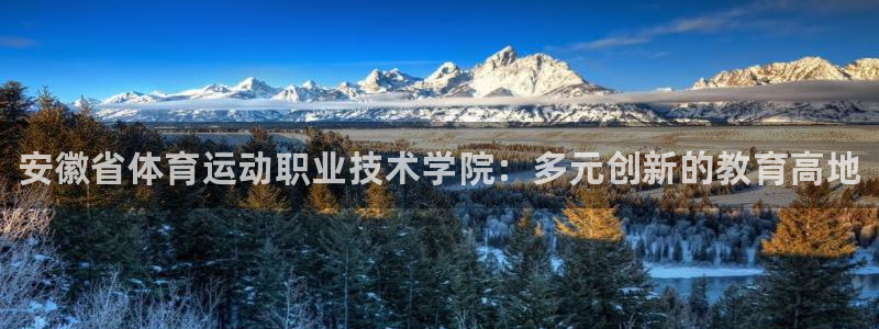 尊龙官网下载招商电话号码是多少啊