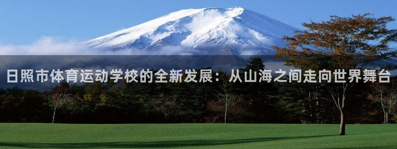 尊龙官方正版app代理