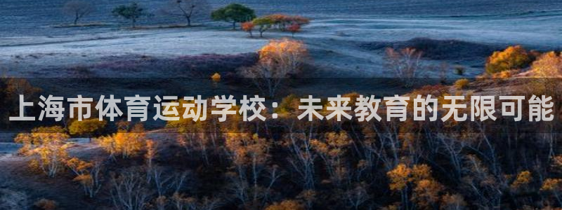 海南尊龙官网下载发展怎么样：上海市体育运动学校：未来教育的无