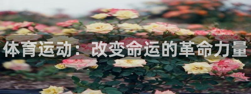 尊龙官网下载是干嘛的公司：体育运动：改变命运的革命力量