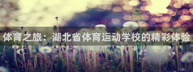尊龙官方正版app娱乐40996：体育之旅：湖北省体
