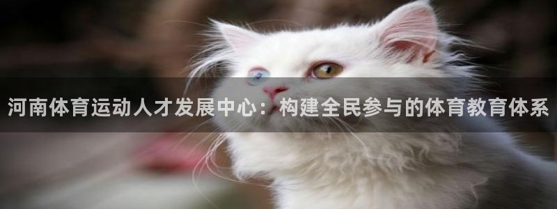 尊龙官网下载软件：河南体育运动人才发展中心：构建全民参与的体