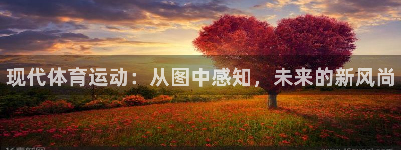 德国尊龙官方正版app集团：现代体育运动：从图中感知，未来的