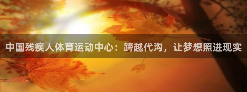 z6尊龙凯时ag旗舰厅：中国残疾人体