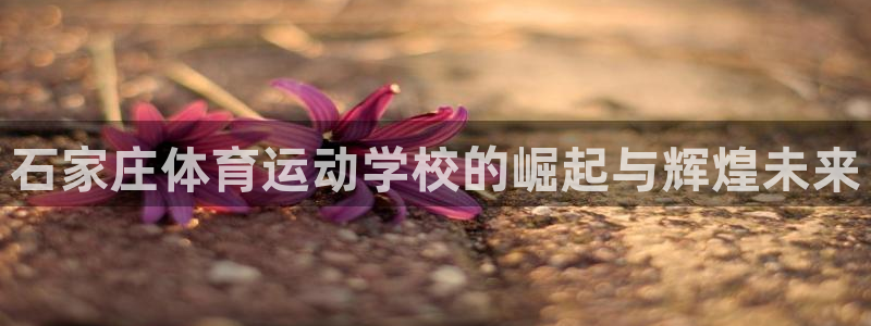 尊龙会：石家庄体育运动学校的崛起与辉