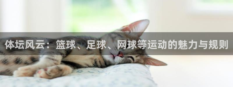 尊龙 3：体坛风云：篮球、足球、网球