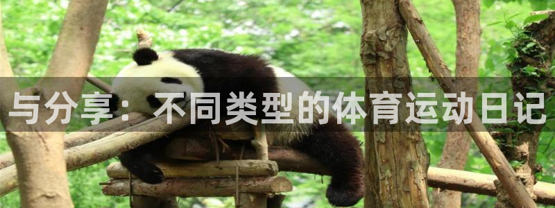 尊龙官方集团官网