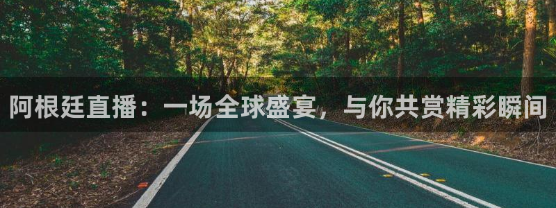 nba直播柠檬：阿根廷直播：一场全球盛宴，与你共赏精彩瞬间