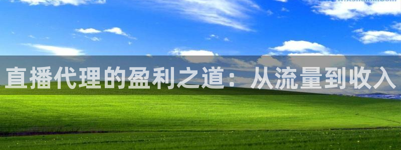 柠檬免费足球直播：直播代理的盈利之道：从流量到收入