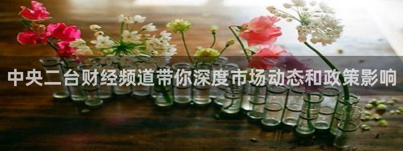 柠檬直播\'：中央二台财经频道带你深度市场动态和政策影响