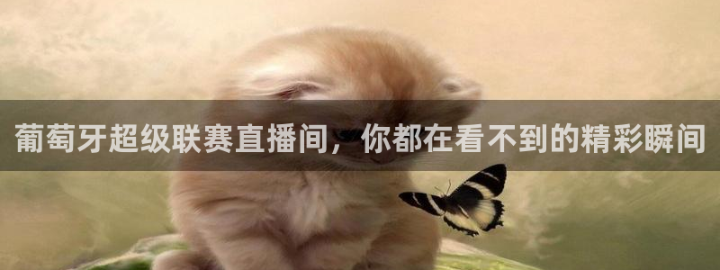 柠檬直播jrs：葡萄牙超级联赛直播间，你都在看不到的精彩瞬间