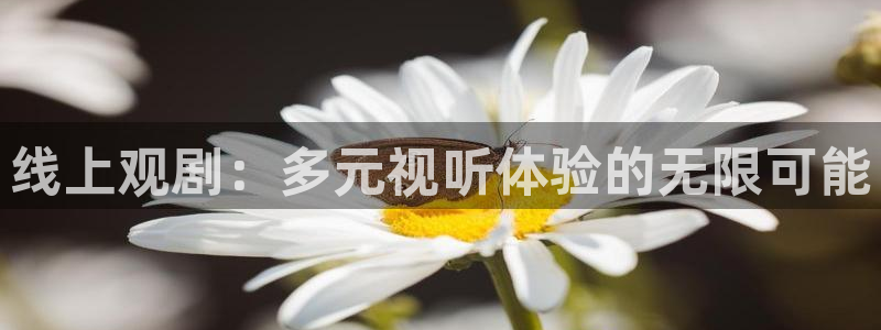 柠檬直播篮球：线上观剧：多元视听体验的无限可能